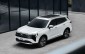 Ford Territory Platinum chốt giá 916 triệu đồng tại Việt Nam, dự kiến bắt đầu bàn giao từ cuối tháng 8